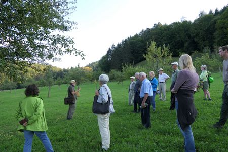 Teilnehmer einer Führung zu Birnensorten im Abendlicht auf der Streuobstwiese