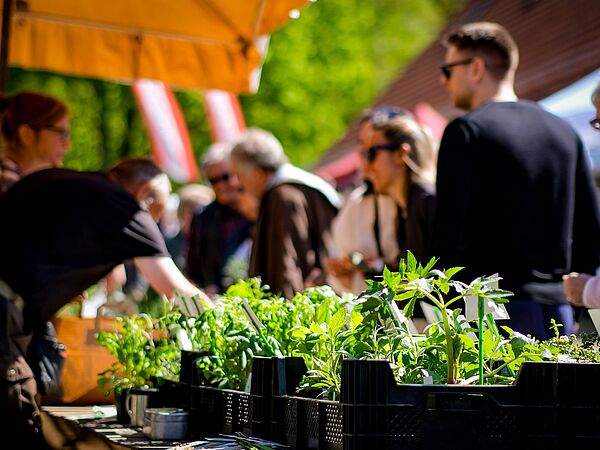 Ein Marktstand mit Kräutertöpfen und im Hintergrund Menschen