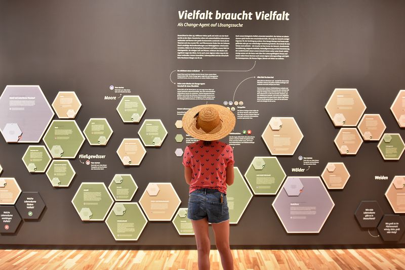 Kind mit Hut betrachtet Ausstellungswand im Natur-Erlebnishaus