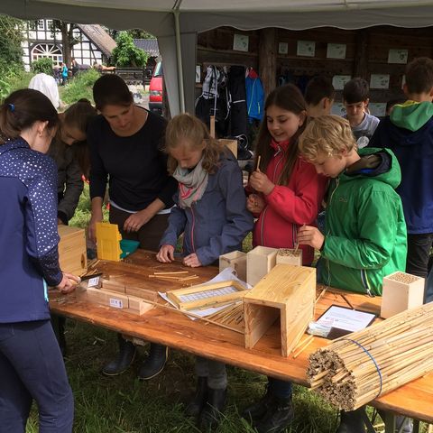 Schüler:innen bauen Nisthilfen aus Holz und Nistmaterial 