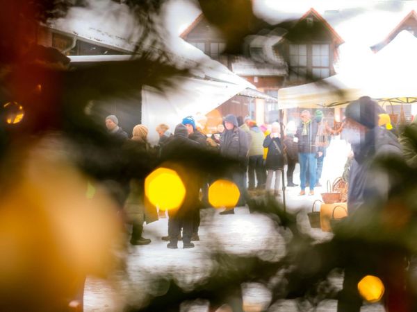 Weihnachtsmarkt auf Gut Herbigshagen bei schönstem Winterwetter Blick durch geschmückte Tannenzweige auf Weihnachtsmarktstände und Besucher:innen im Hof von Gut Herbigshagen