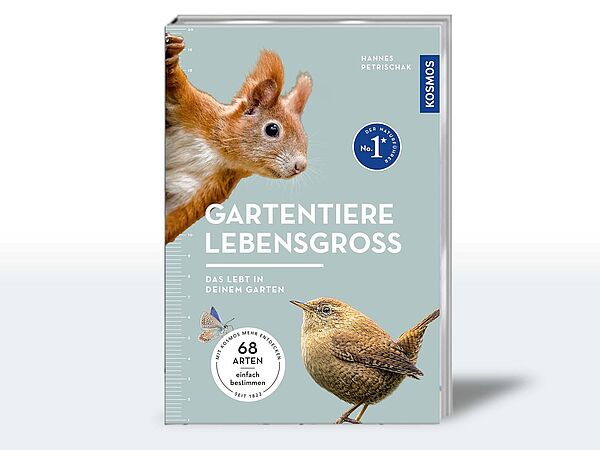 Buchcover des neuen Kosmos Naturführers "Gartentiere lebensgroß" von Dr. Hannes Petrischak.