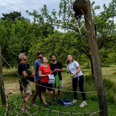 Outdoor Escape Game: Fünf Personen auf Streuobstwiese schauen an Baumstamm empor zu einem Objekt