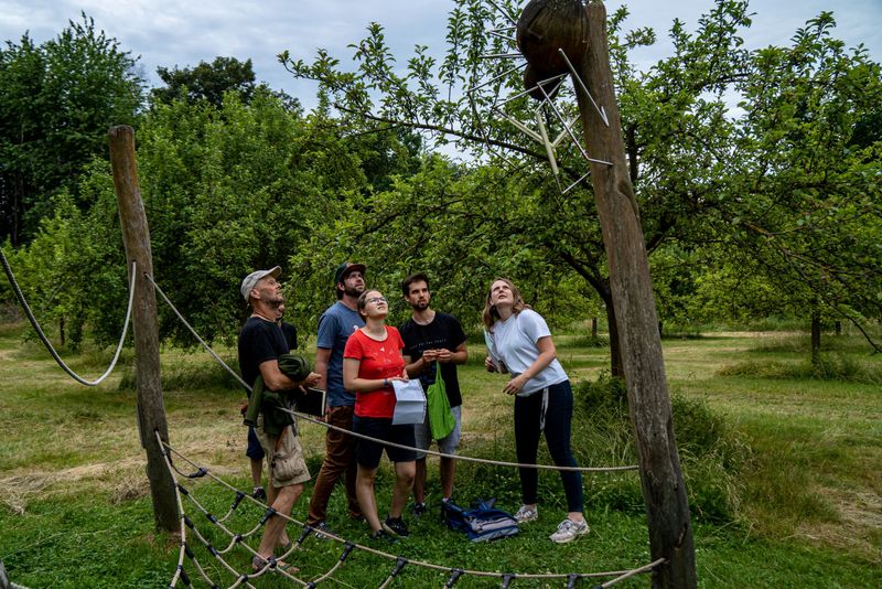 Outdoor Escape Game: Fünf Personen auf Streuobstwiese schauen an Baumstamm empor zu einem Objekt