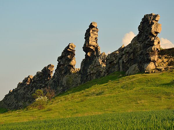 Teufelsmauer Mehrere Felssäulen, die aus einer Felsmauer ragen
