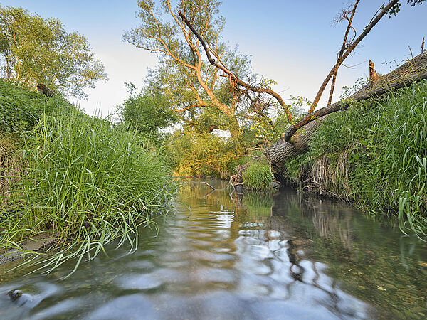 Nettetal Fluss mit Böschung Der Fluss Nette mit Uferböschung an den Seiten