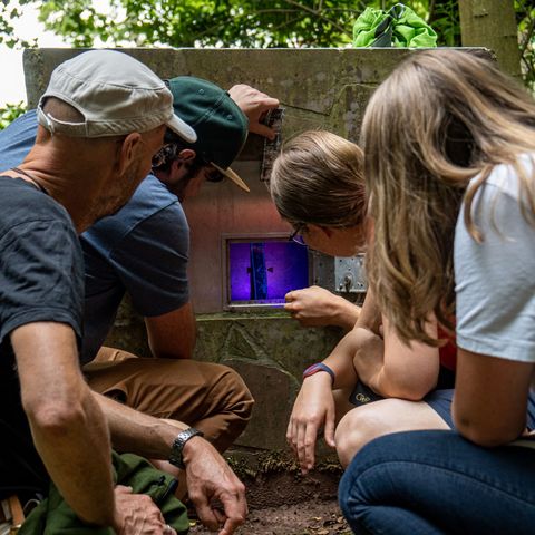 Outdoor Escape Game: Vier Personen hocken vor Schwarzlichtgerät