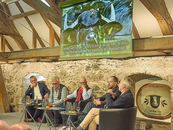 Fünf Herren sitzen in Sesseln auf einem Podium und diskutieren