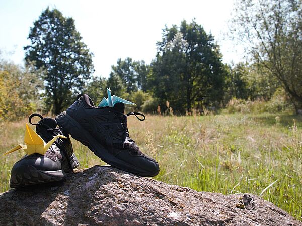 Kranichlauf Ein paar Schuhe auf einem Stein vor einer Wiesenlandschaft