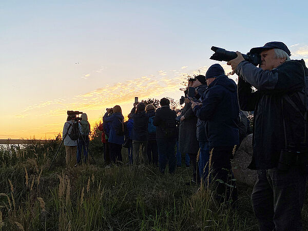 Mit Ferngläsern und Spektiven lassen sich die Kraniche (Grus grus) sehr gut verfolgen. Gruppe von Naturinteressierten, die mit Ferngläsern Vögel betrachten.
