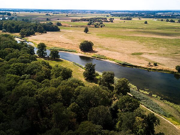 Ein mehrjähriges Großprojekt für die biologische Vielfalt und das ökologische Gleichgewicht im Elbtal beginnt. Ein mehrjähriges Großprojekt für die biologische Vielfalt und das ökologische Gleichgewicht im Elbtal beginnt.