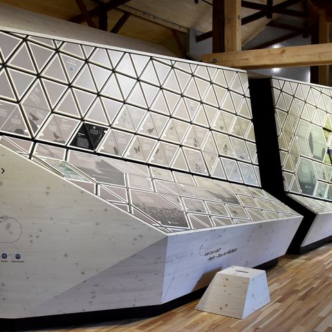 Ausstellung Natur-Erlebnishaus Panorama Detailansicht