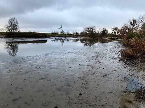 Pfützen statt Teich: Der nur noch niedrige Wasserstand im Dezember 2024 offenbart den schlammigen Grund des künstlich angelegten Gewässers.