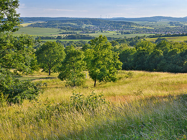 Das Grüne Band in Ecklingerode, einer Gemeinde im thüringischen Landkreis Eichsfeld. Landschaftsaufnahme des Grünen Bands in Thüringen.