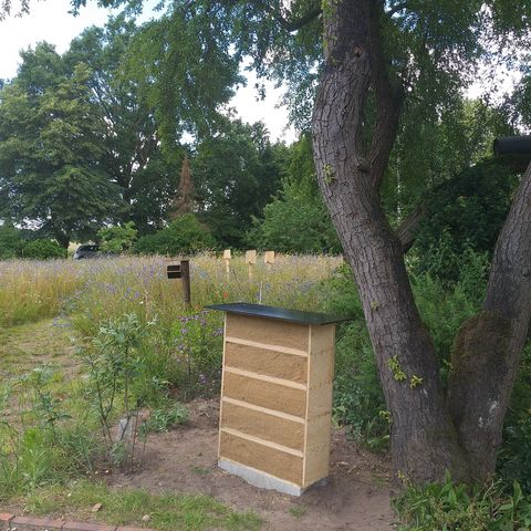 Schulgarten mit selbstgebauten Nisthilfen für Wildbienen