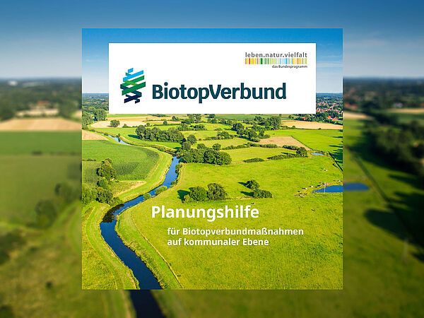 Die Planungshilfe bietet Hilfestellung und Anregung für Biotopverbundprojekte.