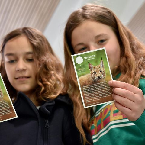 Zwei Kinder studieren Spielkarten für Wildwechsel Spiel