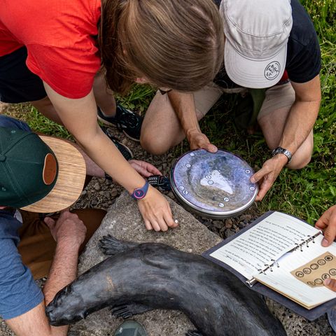 Outdoor Escape Game: Vier Personen aus der Vogelperspektive mit Untensilien neben Fischotter-Statue