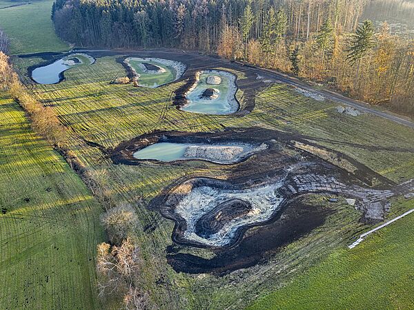 Ende November 2020 sind die fünf neuen Weiher schon gut zu erkennen. Ende November 2020 sind die fünf neuen Weiher schon gut zu erkennen.