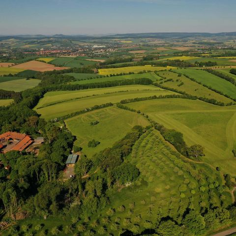 Landwirtschaftliche Flächen um Gut Herbigshagen aus der Vogelperspektive, grüne Wiesen, im Hintergrund Duderstadt
