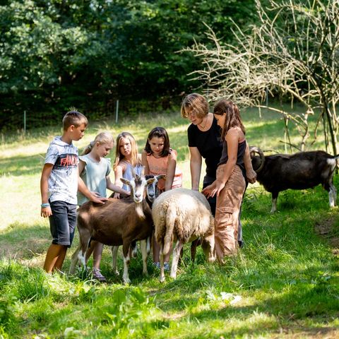Umweltpädagogin mit einer Gruppe von Kindern auf der Schaf- und Ziegenweide