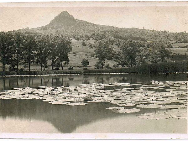 Alter Binninger See im Jahr 1930 Eine Schwarz-Weiß-Aufnahme des Alten Binninger Sees aus dem Jahr 1930 zeigt vorn den See mit Seerosen, im Hintergrund ein Berg und Wald