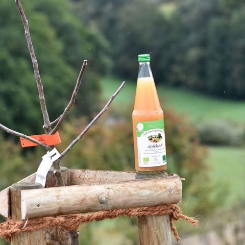 Flasche Apfelsaft neben jungem Apfelbaum auf der Streuobstwiese