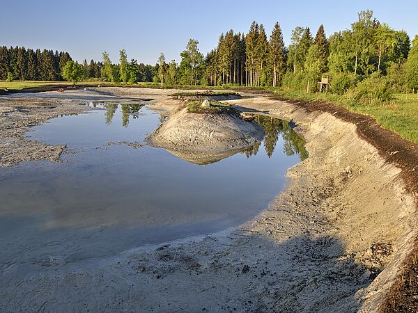 Die Baumaschienen sind abgezogen, der Weiher füllt sich langsam mit Wasser. Erste Pflanzen erobern die Inseln bereits. Die Baumaschienen sind abgezogen, der Weiher füllt sich langsam mit Wasser. Erste Pflanzen erobern die Inseln bereits.