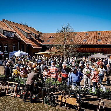 Menschen an einem Kräuterverkaufsstand auf dem Hof von Gut Herbigshagen