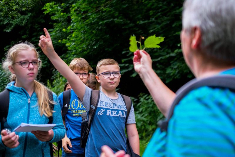 Umweltpädagogin zeigt Eichenlaub, im Hintergrund Schüler:innen, ein Junge hebt die Hand