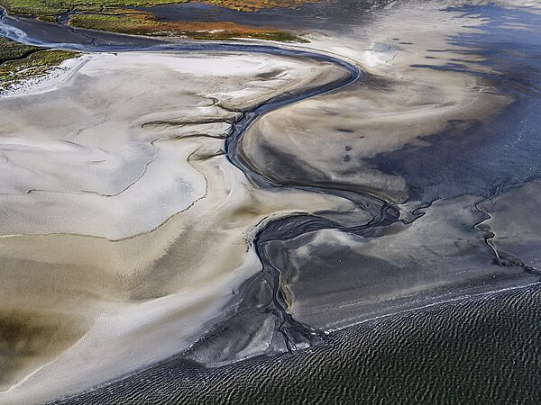 Wattenmeer. Foto: Martin Stock/LKN.SH