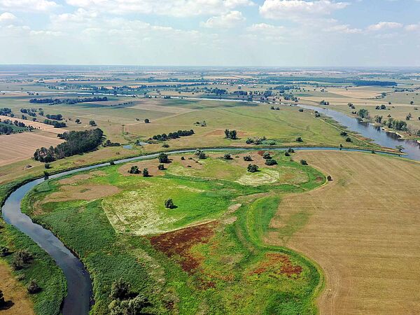 Zusammenfluss von Schwarze Elster (links im Bild) und Elbe. Zusammenfluss der beiden Flüsse Elbe und Schwarze Elster aus der Vogelperspektive. Im Vordergrund Grün- und Landwirtschaftsflächen. Im Hintergrund Horizont mit blauem Himmel und vereinzelten Wolken.