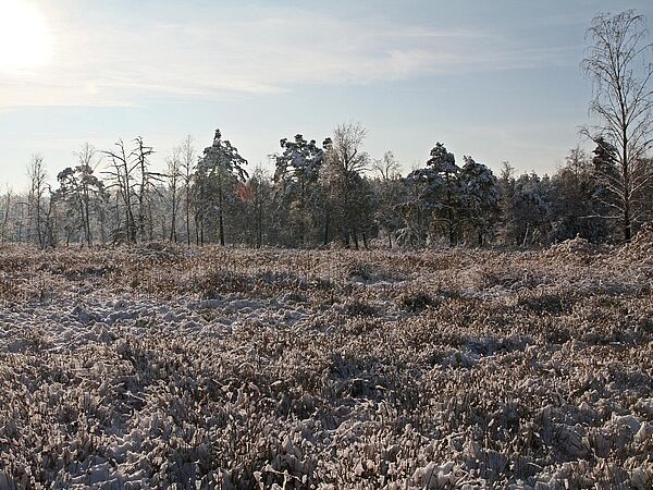 Weissacker Moor Moor im Winter mit Schnee