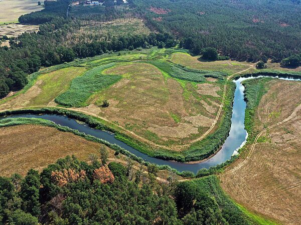Schwarz Elster Vogelperspektive auf einen Fluss